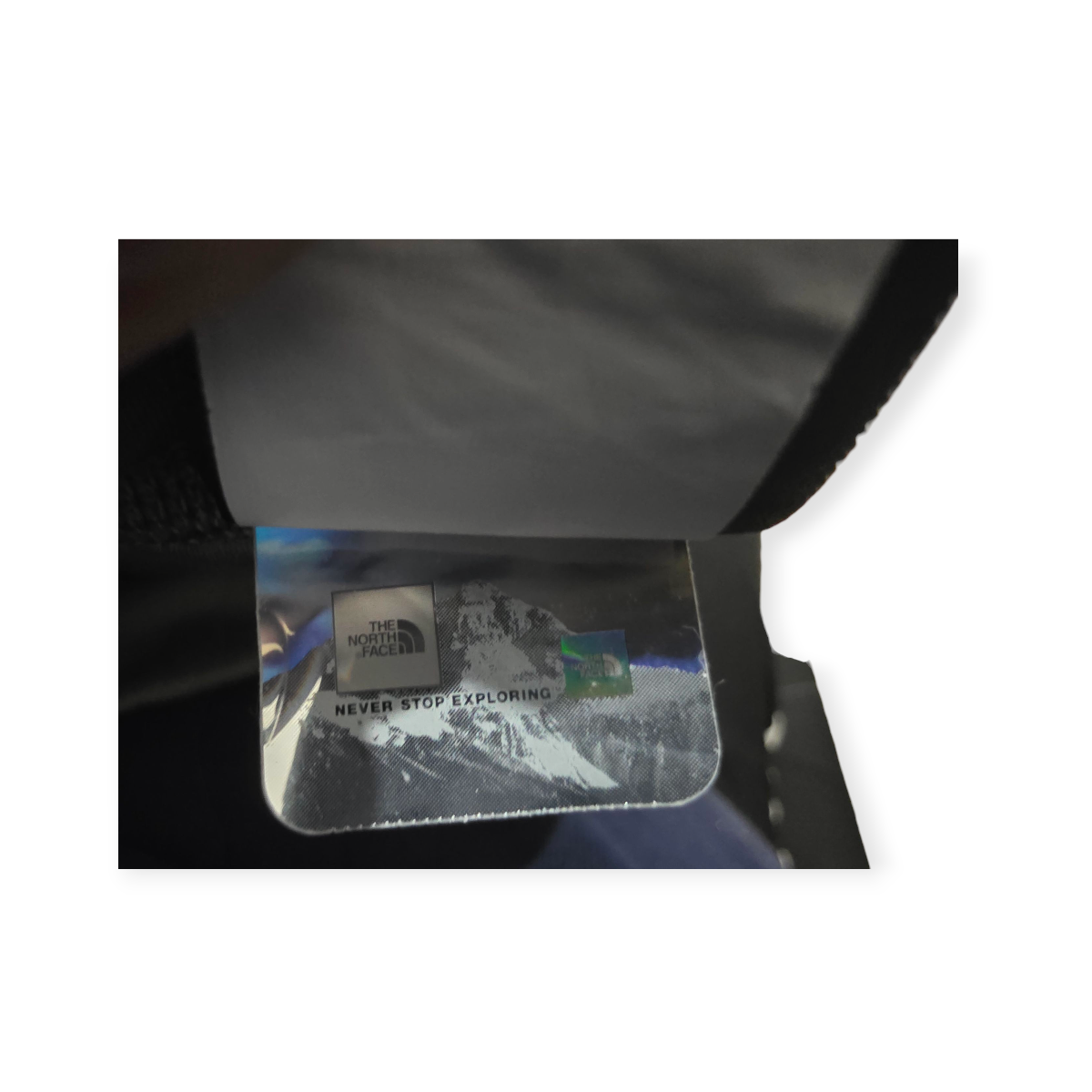 Biker The North Face Chico S Color Verde De Mujer